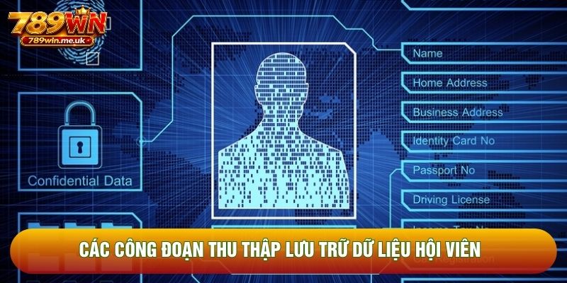 Các công đoạn thu thập lưu trữ dữ liệu hội viên Các công đoạn thu thập lưu trữ dữ liệu hội viên
