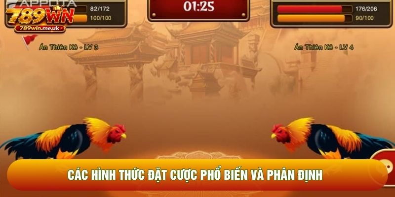Các hình thức đặt cược phổ biến và phân định Các hình thức đặt cược phổ biến và phân định