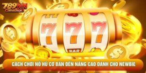 Cách Chơi Nổ Hũ Cơ Bản Đến Nâng Cao Dành Cho Newbie