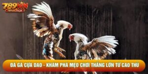 Đá Gà Cựa Dao - Khám Phá Mẹo Chơi Thắng Lớn Từ Cao Thủ