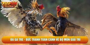 Đá Gà Tre - Bức Tranh Toàn Cảnh Về Bộ Môn Giải Trí