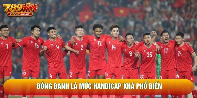 Đồng banh là mức Handicap khá phổ biến Đồng banh là mức Handicap khá phổ biến