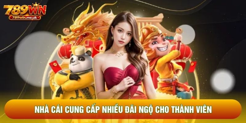 Nhà cái cung cấp nhiều đãi ngộ cho thành viên