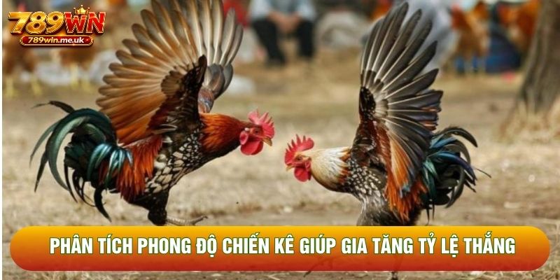 Phân tích phong độ chiến kê giúp gia tăng tỷ lệ thắng