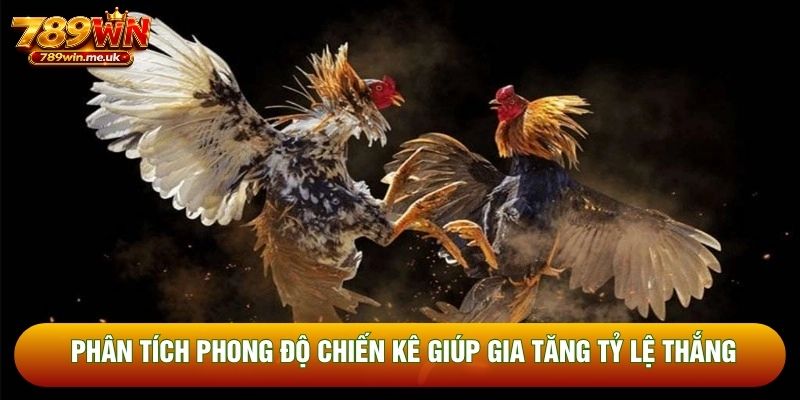 Phân tích phong độ chiến kê giúp gia tăng tỷ lệ thắng