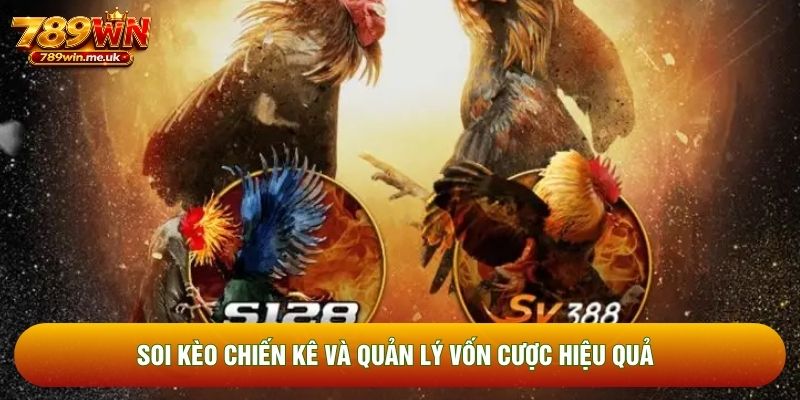 Soi kèo chiến kê và quản lý vốn cược hiệu quả Soi kèo chiến kê và quản lý vốn cược hiệu quả