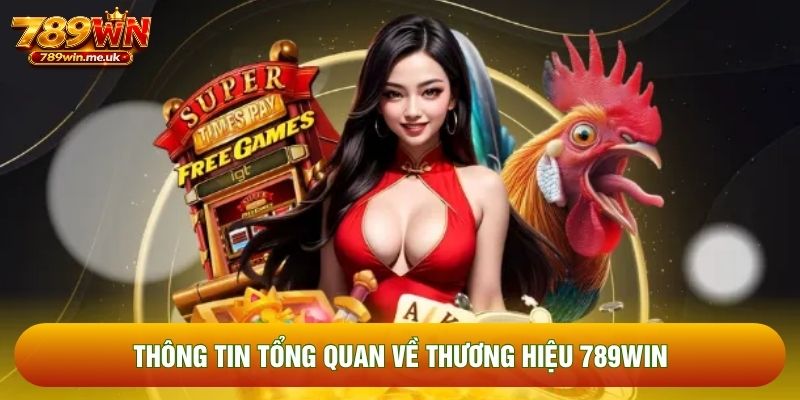 Thông tin tổng quan về thương hiệu 789WIN