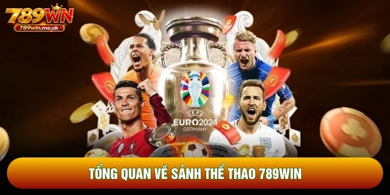 Tổng quan về sảnh thể thao 789WIN Tổng quan về sảnh thể thao 789WIN