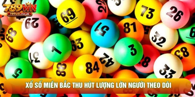 Xổ số miền Bắc thu hút lượng lớn người theo dõi Xổ số miền Bắc thu hút lượng lớn người theo dõi
